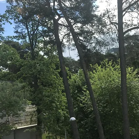 Parus With Sea View Dzīvoklis *